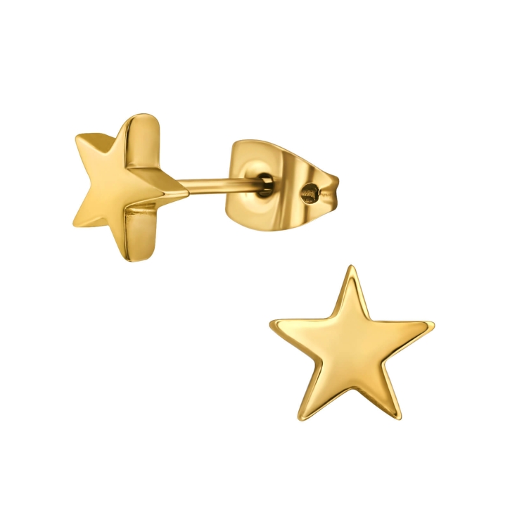 Titan Ohrringe Ohrstecker goldfarben mit Stern