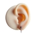 Titan Ohrringe Ohrstecker Ear Jacket in verschiedenen Farben mit Kristalltropfen und Kette