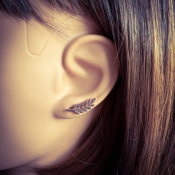 Ear Climber 925 Sterling Silber rosévergoldet Zweig Ohrstecker Ohrklemme