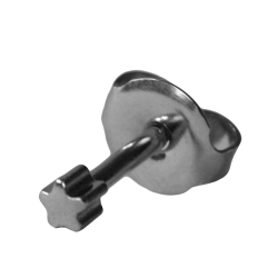 Erstohrstecker Ohrringe Chirurgenstahl Sterile Ohrstecker mit Stern 4mm