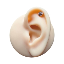 Helix Ohrpiercing 925 Sterling Silber Muschel in verschiedenen Farben