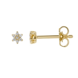 Ohrringe Diamanten Ohrstecker 585er Gelbgold Stern mit Diamanten 0,03ct