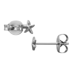 Titan Ohrringe Ohrstecker mit Seestern 4mm