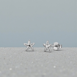 Titan Ohrringe Ohrstecker mit Seestern 4mm
